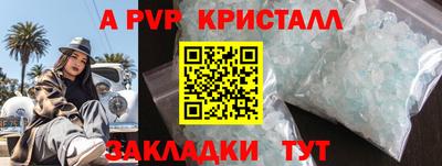 шишки Обь