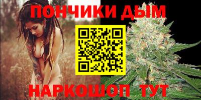 шишки Обь