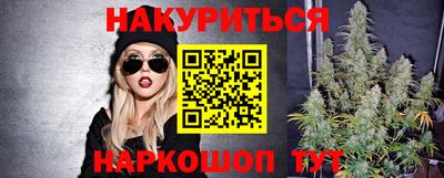 шишки Обь