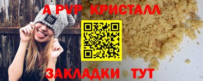 шишки Обь