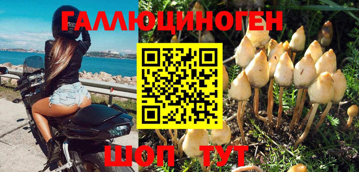 Псилоцибиновые грибы Psilocybe  Вход с VPN  Псилоцибиновые грибы Magic Shrooms  Соликамск 